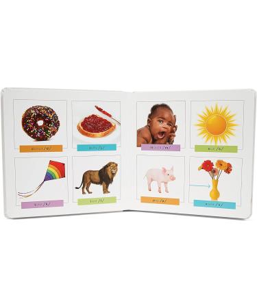 SmartNoggin Baby Milestones Bundle: NogginStik Light-Up Rattle & Baby's First Book - Developmental Toys for Infants - Buy Online on SooperMarket.com
