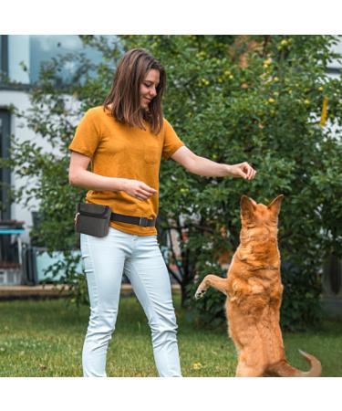 AEMIAO Dog Treat Pouch with Magnetic Closure - Hands-Free Small Puppy Training Bag - Adjustable Waistband & Bonus Carabiner - Grey - Buy Online on SooperMarket.com