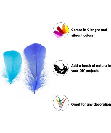 Coceca 300pcs Colorful Feathers for DIY Craft, Wedding, and Party Decor - Buy Online on SooperMarket.com