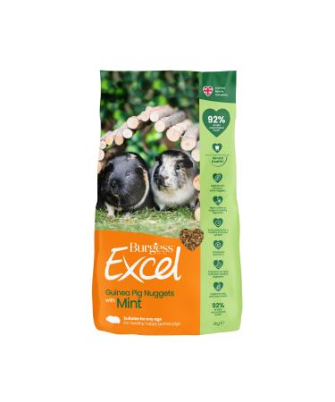 Excel Guinea Pig Food Green 3 kg (Pack of 1) Grass and Mint 3 kg (Pack of 1)