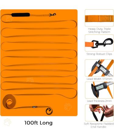 Waterproof Long Line Dog Training Lead - 20m, Suitable for all Sized Dogs - Buy Online on SooperMarket.com