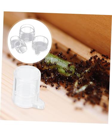 Mipcase 2pcs Ant Water Feeder Tortoise Water Dish Reptile Water Dish Cup Insect House Transparent Acrylic - Buy Online on SooperMarket.com