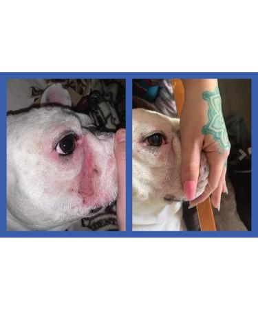 Squishface Wrinkle Wipes 6x8 Large Chlorhexidine Dog Wipes - Anti-Itch, Deodorizing, Tear Stain Remover for English Bulldog, Pugs, Frenchie, Bulldogs & More! - Buy Online on SooperMarket.com