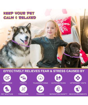 Bieyoc Calming Collar for Dogs 3 Packs Dog Anxiety Relief Adjustable Calming Collar for dogs Separation Anxiety Relief Stress 60 Days Long Lasting Calming Effect for Large Middle and Small Dogs - Buy Online on SooperMarket.com