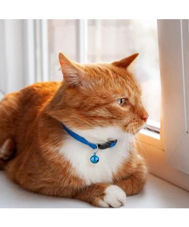 Molain 24pcs Cat Bells with Keyrings- Dog Collar Bells Training Jingle Bell Collar Pendant Pet Accessories Festival Party DIY Small Bells Mixed Color - Buy Online on SooperMarket.com