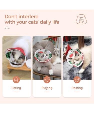 ComSaf Cat Recovery Collar - Lightweight & Adjustable Elizabeth Collar for Cats - Prevent Licking Wounds - Watermelon-M - Buy Online on SooperMarket.com