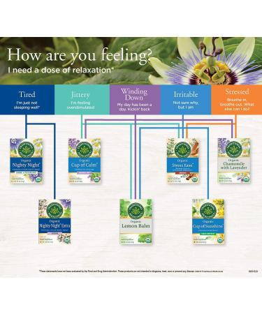 Traditional Medicinals Organic Stress Ease Cinnamon Tea - 32 Bags for Relaxation - Buy Online on SooperMarket.com