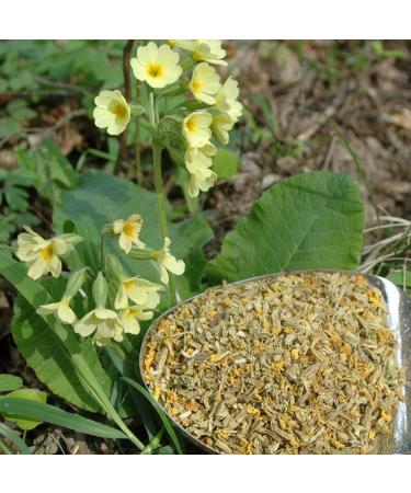 Krauterino24 - Primroses with calyx cut quantity: 100g