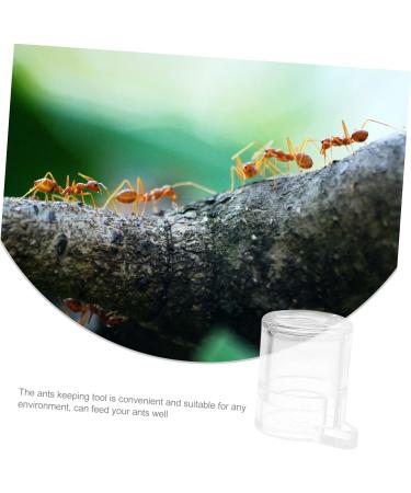 Balacoo 5pcs pet Water Feeder ant Workshop ant Habitat Science ant Castle ant Feeder for ant Farm ant - Buy Online on SooperMarket.com