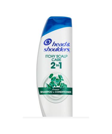 Head and Shoulders Itchy Scalp Care with Eucalyptus 2-in-1 Anti-Dandruff Shampoo + Conditioner 13.5 Fl Oz 13.5 Fl Oz (Pack of 1)