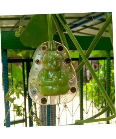 Kisangel 5pcs Vegetable Mold Ginseng Melon Shaping Multi-Function Fruit Mold Gourd Shaper - Buy Online on SooperMarket.com