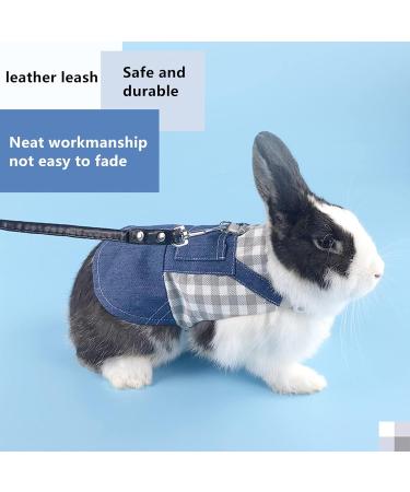 Adjustable Soft Rabbit Dishes & Leash Set - Perfect for Rabbits Cats & Guinea Pigs (Size L Blue) | International Shipping Available - Buy Online on SooperMarket.com