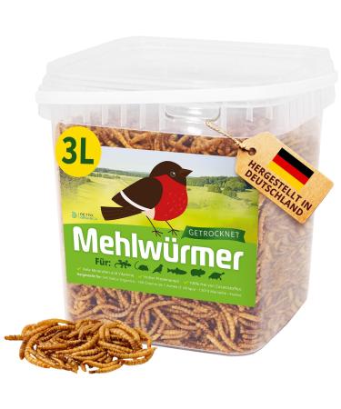 Flourworms dried 3l dried mealworms with very high protein content worms for reptiles birds wild birds hedgehogs fish turtles & rodent 460g - premium quality 460 g (1 Pack)