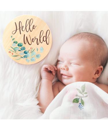Baby Monthly Milestone Cards - Reversible Wooden Discs for Newborn Photography - Includes Announcement & Hello World Sign - Buy Online on SooperMarket.com