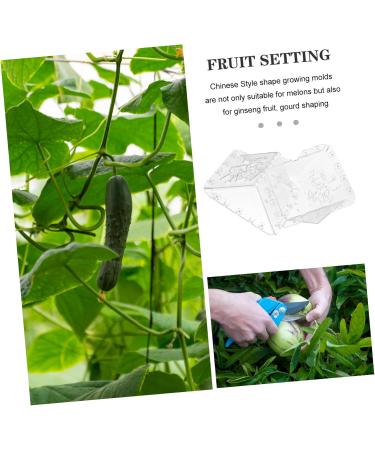 Mipcase 2pcs Square Apple Molds Fruit Vegetable Molds for Gardening Melon Stereotypes Plastic - Buy Online on SooperMarket.com