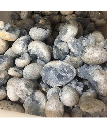 1PC Random Natural Raw Blue Celestite Quartz Crystal Cluster Stones Specimen Home Decoration Crafts Ornament Druzy Geode FZUGEDRLI (Size : 1pc Random 20 50g) - Buy Online on SooperMarket.com