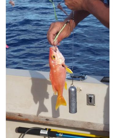 Deep Drop Fishing Rig with 5 Demon Circle 6/0 Hooks and Glow Sleeve - Snapper Rig - Buy Online on SooperMarket.com