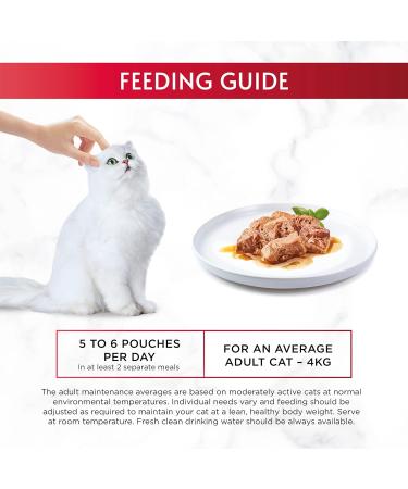 Gourmet Mon Petit Intense Duck Chicken and Turkey Adult Wet Cat Food 6x50g Pack of 8 - Buy Online on SooperMarket.com