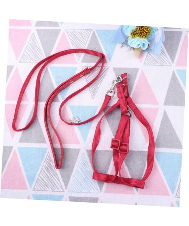 Balacoo Flight Harness for Cockatiels Parrot Harness Training Parrot Bird Harness Parakeet Cinch Belt Birdemic Parrot Accessories Birds Leash Bird Collars Small Parrot Strap Red - Buy Online on SooperMarket.com