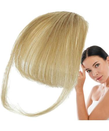Dranng Bang Extensions Clip Human Hair French Bangs Clip on Fake Bangs Fringe Natural Color Fringe Hairpieces Stylish Neat Bangs Hair Extension for Girls Women gray gold - Buy Online on SooperMarket.com