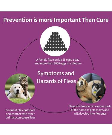 Fipronil Cat Flea & Tick Control - Long-Lasting Treatment for Kittens - 3 Doses - Buy Online on SooperMarket.com