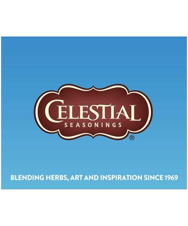 Celestial Seasonings Cold Brew Iced Tea with Lemon - Sweetened Tea Bags (18 Count, 1.3 oz) - Buy Online on SooperMarket.com