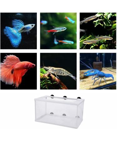 Large Fish Breeder Net with Suction Cups - Nylon Mesh Hatchery Isolation Box for Aquarium Tank - Buy Online on SooperMarket.com