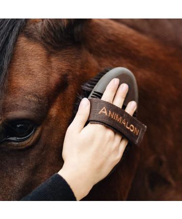 Animalon Careeflex Kard tsche | Ergonomic & Flexible Horse Brush with Velcro Fastener | Essential Cleaning Tool for Horse Care Accessories - Buy Online on SooperMarket.com
