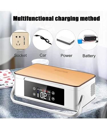Insulin Cooler Refrigerated Box Mini Drug Constant Temperature Refrigerator Drug Reefer 2-8 for Insulin Serum Eye Drops Storage Champagnegold-220V-Battery*1 Battery*1 Champagnegold - Buy Online on SooperMarket.com