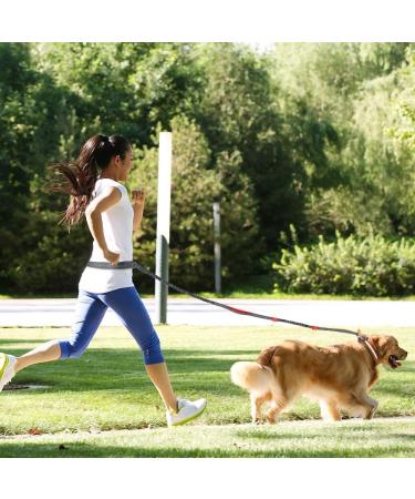 Achort Hands-Free Dog Leash & Waist Belt with Bungee - Reflective Adjustable for Dogs Up to 110 kg - Perfect for Running & Jogging (Red) - Buy Online on SooperMarket.com