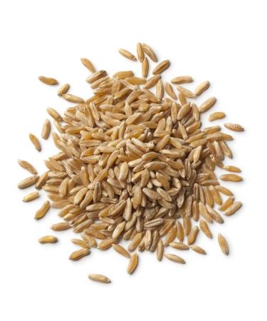 Organic Kamut Grain 2.5kg (BWFO)