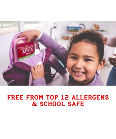 Natures Turn Freeze-Dried Strawberry Crisps - School Lunch or On-The-Go Snack - Non GMO, Gluten Free, No Sugar Added - 6-Pack 0.53oz - Buy Online on SooperMarket.com