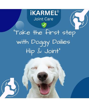 iKarmel Hip and Joint Care Supplements for Dogs - Glucosamine, Chondroitin, Green-Lipped Mussels - Senior to Puppy Treats for Stiff Joints (180 Chews) - Buy Online on SooperMarket.com