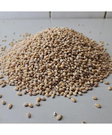 Mills Barley Grains Peeled 1kg - Premium Whole Grain Barley Kernels | Fresh from R tze Mill - Buy Online on SooperMarket.com