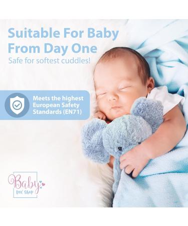 Blue Elephant Teddy Cuddly Toy for Babies | Baby Box Shop - Buy Online on SooperMarket.com