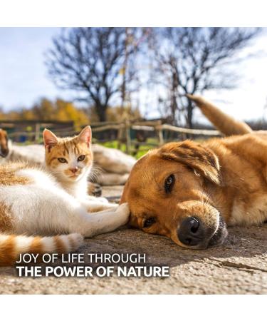 AniForte Premium Salmon Oil 200 Tablets for Dogs & Cats - Natural Norwegian Fish Oil Supplement with Omega 3, 6, EPA, DHA & ALA for Coat, Skin, Joints & Brain Health - Buy Online on SooperMarket.com
