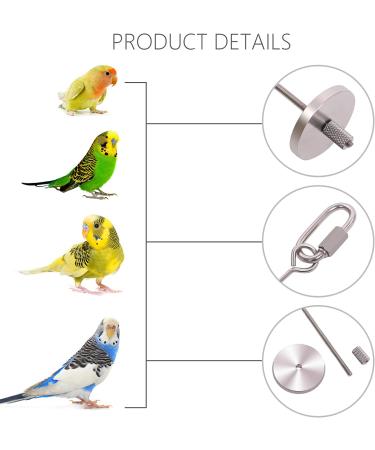 QBLEEV Stainless Steel Bird Food Holder - Parrot Fruit & Vegetable Stick Foraging Toy & Treat Skewer - Buy Online on SooperMarket.com