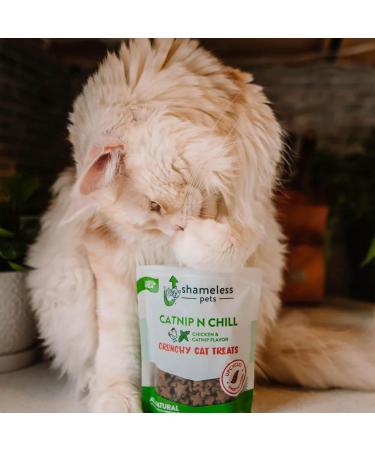 Shameless Pets Catnip N' Chill Crunchy Cat Treats Chicken/Catnip - 71 g Cat Treats - Buy Online on SooperMarket.com
