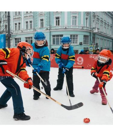 BESPORTBLE 3pcs Roller Hockey Pucks - Inline & Street Hockey Balls for Indoor & Outdoor Play | International Shipping Available - Buy Online on SooperMarket.com