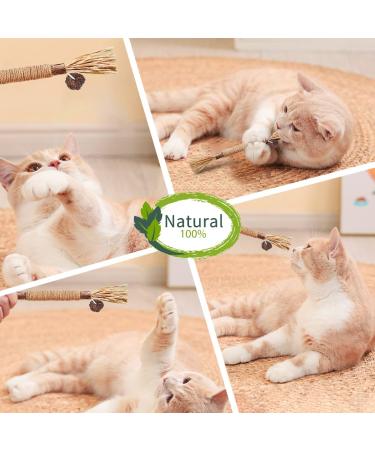 AGYM Cat Silvervine Stick Toy Set - Natural Chew Toys for Cats | Promotes Dental Health, Relaxation, and Digestion | Non-Addictive and Safe | 4 Pack - Buy Online on SooperMarket.com