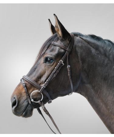WALDHAUSEN Star Bridle Lifestyle brown/brown Warmblood