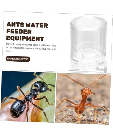BUGUUYO Pet Water Feeder Ant Nest Water Cup Ant Watering Station Ant Nest Feeder Transparent Plastic - Buy Online on SooperMarket.com