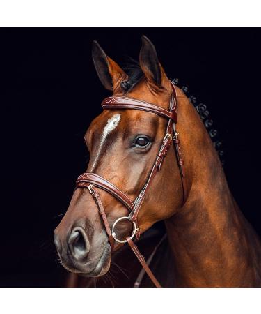 HORZE Sion Padded Leather Horse Snaffle Bridle with Flash Noseband and Rubberized Reins - Brown Horse - Buy Online on SooperMarket.com