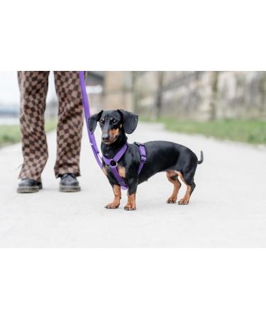 CHABA Adjustable Dog Harness for Large Dogs - Anti-Choking & Control - Lightweight Step-In Design - Perfect for Running - XL Violet - Buy Online on SooperMarket.com