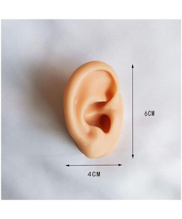 Simulation Ear Template - Flexible Silicone Silicone Ear Model for Acupuncture Picking Ear Picking Soft Props Earrings Right - Buy Online on SooperMarket.com