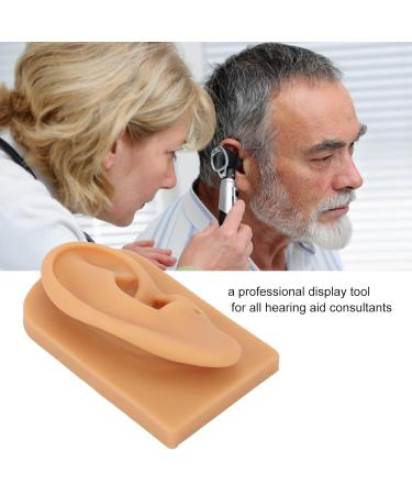 Ear Model Prevent Damage Waterproof Soft Silicone Right Ear Model Flexible Science Education for Display - Buy Online on SooperMarket.com