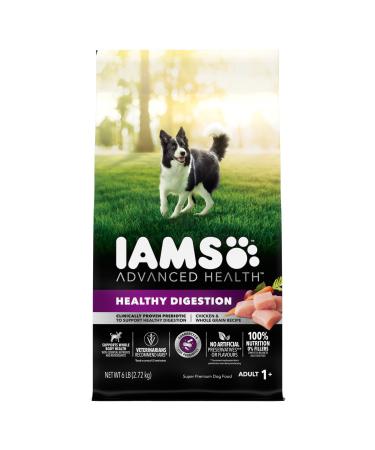 IAMS Advanced Health Dog Food Dry Healthy Digestion Adult Chicken & Whole Grain Recipe 2.72kg (6LB) Bag 2.72 kg (Pack of 1) Dog Food