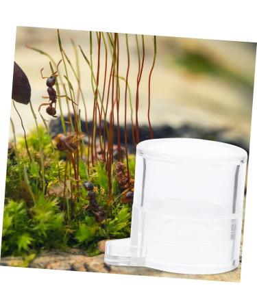 SEWOART 2pcs Ant Water Feeder Ants Ant Nest Water Feeder Ant Liquid Feeder Pet Waterer Transparent Acrylic - Buy Online on SooperMarket.com