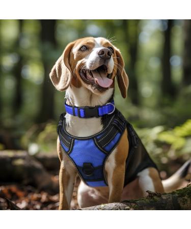 Joytale Reflective Dog Collar for Medium Dogs - Royal Blue - Durable & Stylish (Pack of 1) - Buy Online on SooperMarket.com