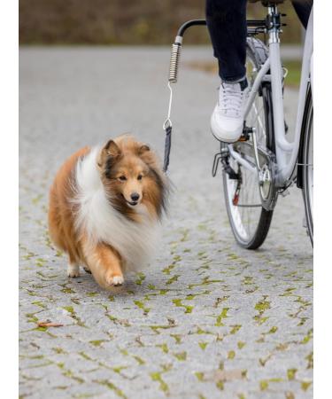 Trixie 1287 Dogs Biker Set - Size S-M | High-Quality Pet Apparel for Style & Comfort - International Shipping Available - Buy Online on SooperMarket.com
